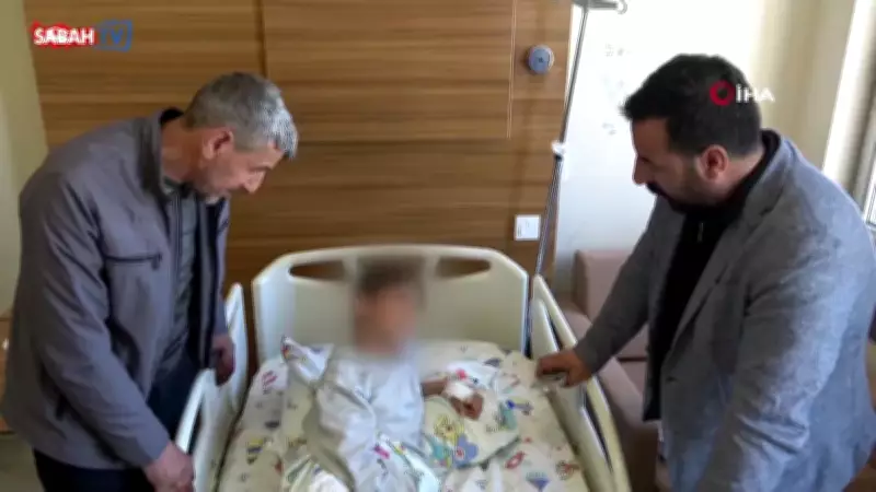Van'da sokak köpeği dehşeti: 11 yaşındaki çocuk yaralandı