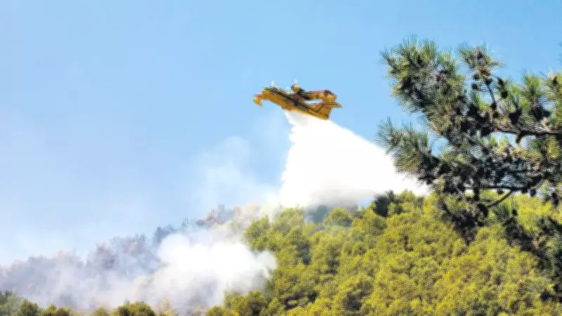 Yeşil Vatan İçin Üst Düzey Güvenlik Önlemleri Alınıyor