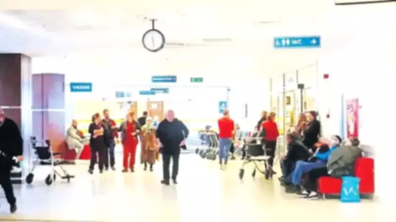 Yılda 300 Kez Doktora Giden Teyze Sağlık Sistemini Suistimal Ediyor