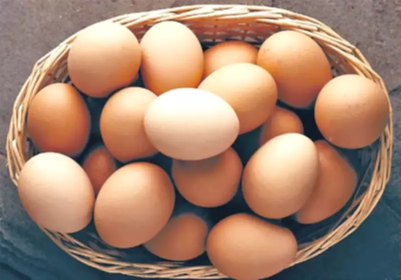 Yumurtanın Faydaları ve Bozuk Yumurta Nasıl Anlaşılır