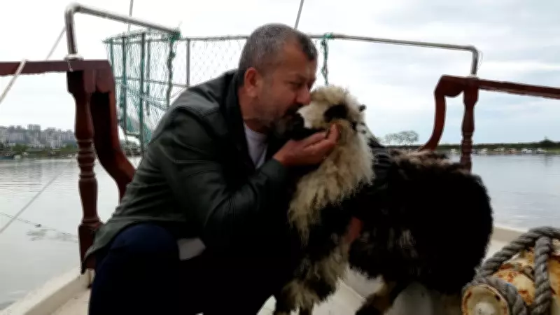 Özenle büyüttüğü kuzusu 'Abbas' yoldaşı oldu