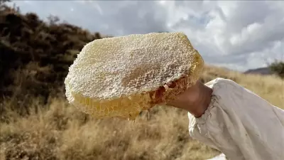 1 Kilosu 600 Bin TL! Dünyanın En Pahalı Balı Çankırı'dan Çıktı