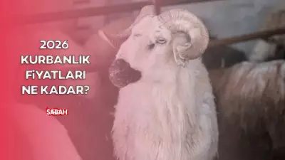 2026 Kurbanlık Fiyatları Canlı Kilo: Büyükbaş ve Küçükbaş Fiyatları