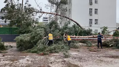 Şanlıurfa'da Fırtına Nedeniyle İki İlçede Okullar 4 Gün Daha Tatil