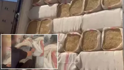 Şanlıurfa'da TIR'da 40 Bin Paket Kaçak Sigara Ele Geçirildi