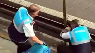 Avcılar'da metrobüs bariyerlerinde mahsur kalan kedi kurtarıldı