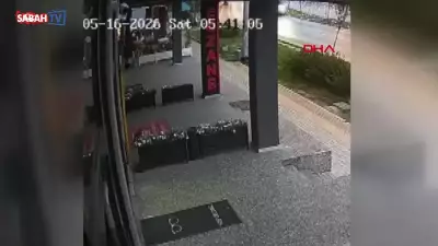 Bursa'da kontrolden çıkan otomobil site duvarına çarptı: Kedi son anda kurtuldu
