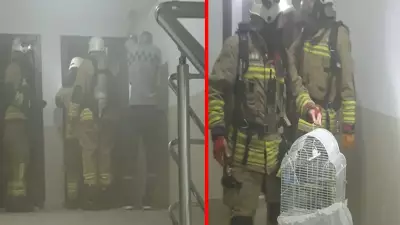 Düzce'de öğrenci apartında yangın: 1 yaralı, muhabbet kuşu kurtarıldı