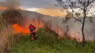Elazığ'da otluk alanda yangın paniği