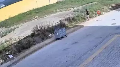 Hatay'da 7 yaşındaki çocuğa sokak köpeklerinin saldırısı kamerada