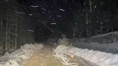 Kastamonu'nun Yüksek Kesimlerinde Kar Yağışı Etkili Oluyor