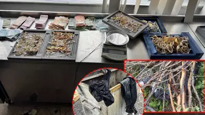 Konya'da kuyumcu soygunu: Hırsızlar kaçarken kaza yaptı, altınlar yola saçıldı