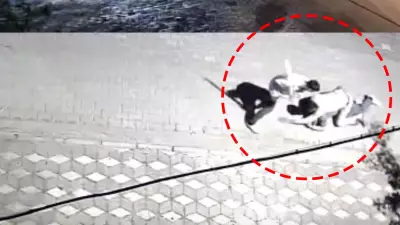Manisa'da Kız Meselesi Yüzünden Dehşet: 6 Yerinden Bıçaklandı