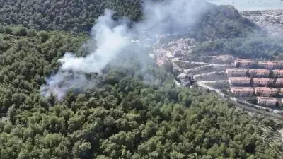 Muğla'da orman yangını paniği: Kısa sürede kontrol altına alındı
