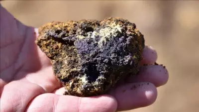OECD'den Türkiye'ye Kritik Mineral Vurgusu: 'Olağanüstü Bir Ticaret Merkezi'