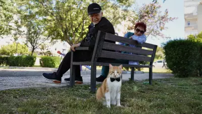 Papyonlu Kedi Foça, Emekli Çiftin Hayatını Değiştirdi