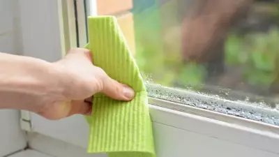 Pencere Terlemesine Doğal Çözüm: Pervaza Bunu Koyun