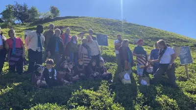 Rize'de çay hasadı ilk kez şenlikle karşılandı