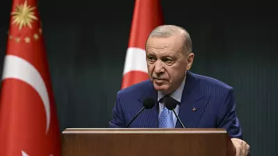 SON DAKİKA: Erdoğan Kabine Toplantısı Sonrası Açıklamalarda Bulunuyor