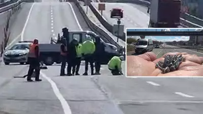 İstanbul'da Kamyondan Dökülen Vidalar Trafiği Felç Etti