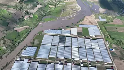 Tokat'ta sel felaketi: Kelkit Çayı taştı, 70 ev tahliye edildi