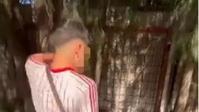 İzmir'de sokakta uyuyan yaşlı adamı tekmeleyen 2 şüpheli tutuklandı