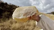 1 Kilosu 600 Bin TL! Dünyanın En Pahalı Balı Çankırı'dan Çıktı