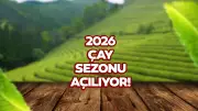 2026 Yaş Çay Alım Fiyatı Ne Zaman Açıklanacak? Sezon 15 Mayıs'ta Başlıyor