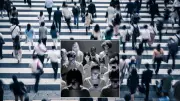 Akıllı Telefonlar Doğurganlığı Vurdu: Küresel Demografik Çöküşün Yeni Nedeni