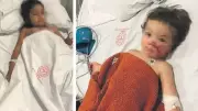 Ankara'da 2 çocuğu yaralayan pitbull'un sahibi tahliye edildi