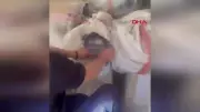 Şanlıurfa'da saman balyasına gizlenmiş 40 bin paket kaçak sigara ele geçirildi