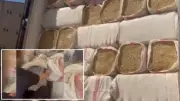Şanlıurfa'da TIR'da 40 Bin Paket Kaçak Sigara Ele Geçirildi