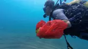 Antalya'da Deniz Dibi Temizliğinde 20 Ton Atık Çıkarıldı