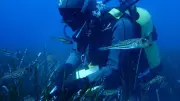Antalya'da Deniz Ekosistemi Araştırması: TÜDAV'dan Kapsamlı Çalışma