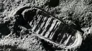 Ay tozuyla beslenen hamamböcekleri: Apollo 11'in garip deneyi