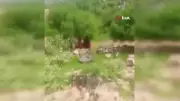 Batman'da Traktör Uçuruma Yuvarlandı, Sürücü Son Anda Atlayarak Kurtuldu