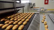 İBB Halk Ekmek'e yüzde 25 zam yaptı: Ekmek 12,5 TL oldu