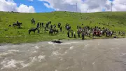 Bingöl'de kaybolan emekli öğretmenin cansız bedeni derede bulundu