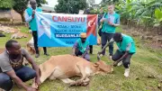 Cansuyu Derneği Kurban Organizasyonuyla Mazlum Coğrafyalara Umut Oluyor