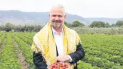 En Lezzetli Festival Yarın Başlıyor: 16. Uluslararası Emiralem Çilek Festivali