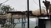 Hakkari'de Fırtına: Çatılar Uçtu, Seralar Zarar Gördü
