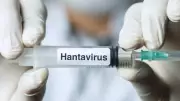 Hanta virüsü pandemi yapar mı? Prof. Dr. Özlü açıkladı