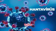 Hantavirüs Nedir? Belirtileri, Bulaşma Yolları ve Görüldüğü Ülkeler