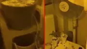 Hatay'da evine iklimlendirme sistemi kurup uyuşturucu yetiştirdi