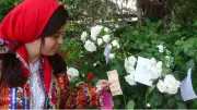 Hıdırellez Dilek Duası ve Gül Ağacı Ritüeli: 5 Mayıs Gecesi Yapılacaklar