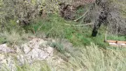 Isparta'da Tepeden Düşen Kadın Hayatını Kaybetti, Arkadaşı Yaralandı