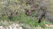 Isparta'da Tepeden Düşen Kadın Hayatını Kaybetti, Kurtarmak İsterken Düşen Adam Poliste