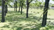 Küçükçekmece'de suikast planı polisin dikkati sayesinde engellendi