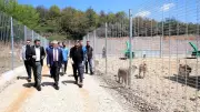 Kocaeli'de 206 Köpek Kapasiteli Modern Barınak Hizmete Açıldı
