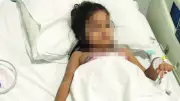 Köpek saldırısı davasında anne ifade verdi, sanık özür diledi